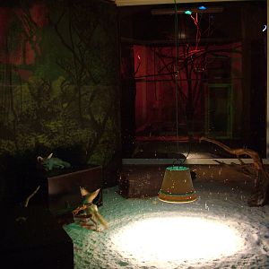 Nocturnal House interior at Olomouc 30/05/10