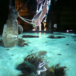 Sharkbait Reef by SeaLife @ Alton Towers, 26/06/10