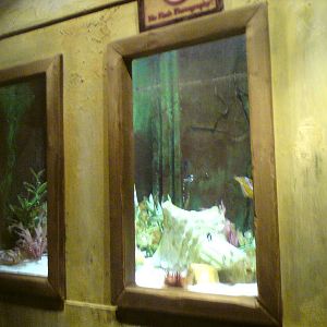 Sharkbait Reef by SeaLife @ Alton Towers, 26/06/10