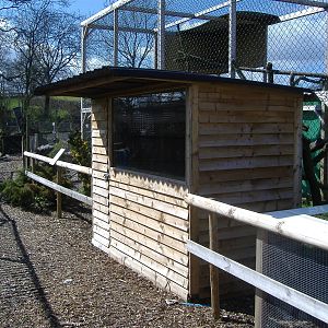 Black and White Ruffed Lemur Axe Valley