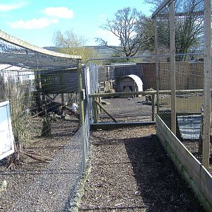 Aviaries Axe Valley