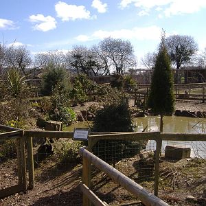 Waterfowl Axe Valley