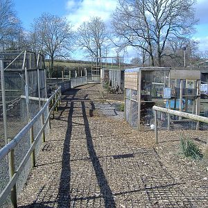 General Veiw Axe Valley