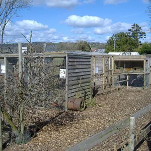 General Veiw Axe Valley