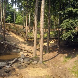 Brown bear exhibit at Wildpark Schwarze Berge