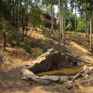 Brown bear exhibit at Wildpark Schwarze Berge