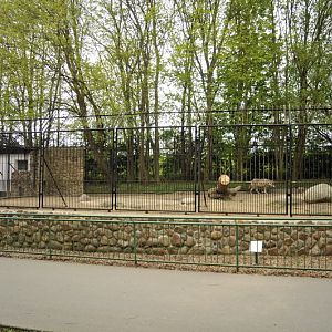 Wolfexhibit at Tierpark Wismar