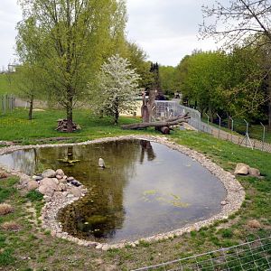 Lynx exhibit at Tierpark Wismar