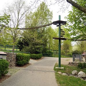 Raccon-bridges at Tierpark Wismar
