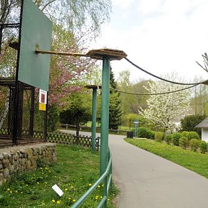 Coati exhibit at Tierpark Wismar