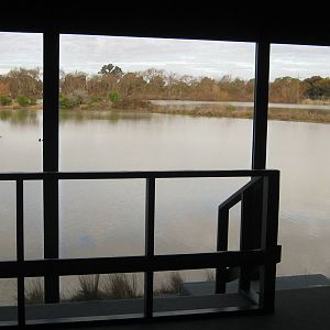 Wetland Viewing