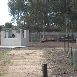 New Southern Hairy Nosed Wombat Exhibit