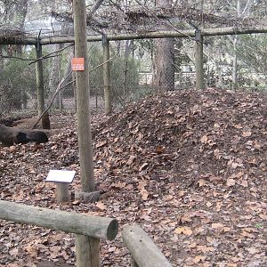 Brush Turkey Aviary