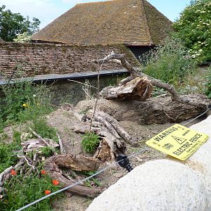 New Leopard Tortoise Enclosure