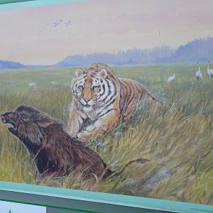 Siberian Tiger Sign Illustration