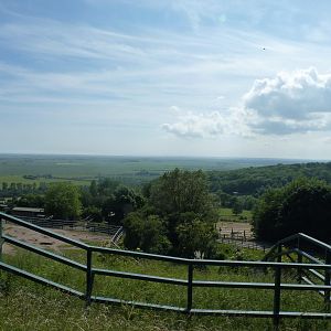View from the Scottish Wildcat Enclosure