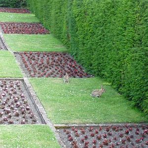 Dont tell the Gardener