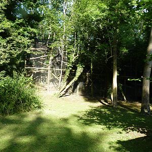 Clouded Leopard Enclosure