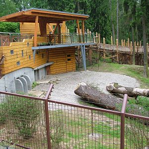 New Black Bear exhibit at Olomouc 30/05/10