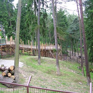 New Black Bear exhibit at Olomouc 30/05/10
