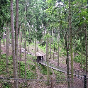 Japanese Macaque walkthrough at Olomouc 30/05/10
