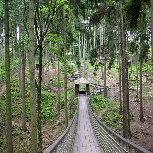 Japanese Macaque walkthrough at Olomouc 30/05/10