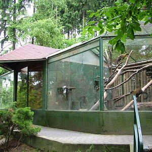 Marten exhibit at Olomouc 30/05/10