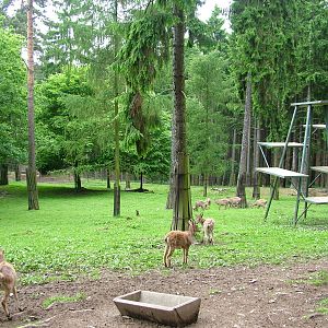 Tur exhibit at Olomouc 30/05/10