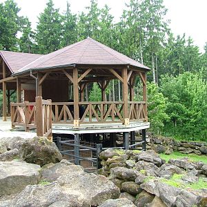 Musk Ox exhibit at Olomouc 30/05/10