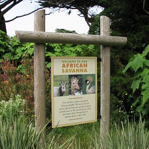African Savanna - Sign