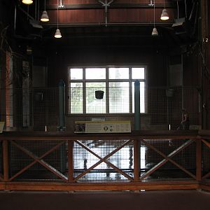 African Savanna - Giraffe Barn Interior
