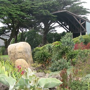 African Savanna - Entry Landscape