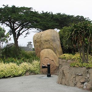 African Savanna - Entry Landscape