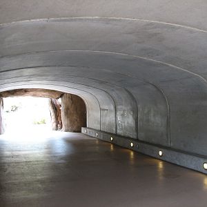 African Savanna - Tunnel