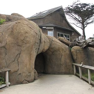 African Savanna - Tunnel Entry