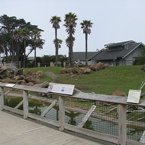 African Savanna - Middle Viewing Area