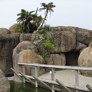 African Savanna - Middle Viewing Area