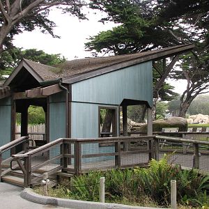 African Savanna - Viewing Shelter
