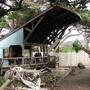 African Savanna - Viewing Shelter