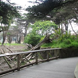 African Savanna - Viewing Deck