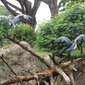 African Savanna - Marabou Stork