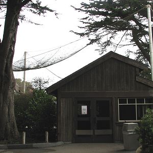 African Aviary - Exterior