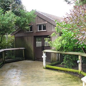 African Aviary - Interior