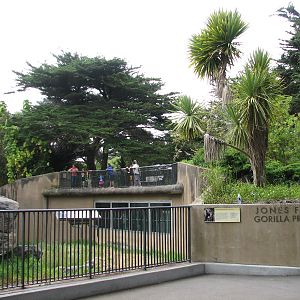 Gorilla Preserve - Entry