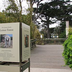 Lemur Forest - Sign