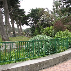 Lemur Forest - Main Habitat Viewing Area