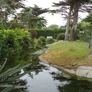 Lemur Forest - Main Habitat