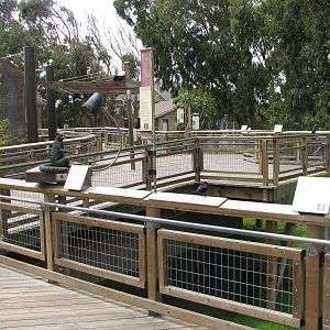 Lemur Forest - Viewing Boardwalk