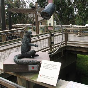 Lemur Forest - Lemur Statue