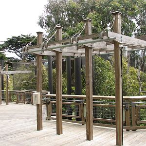 Lemur Forest - Viewing Boardwalk